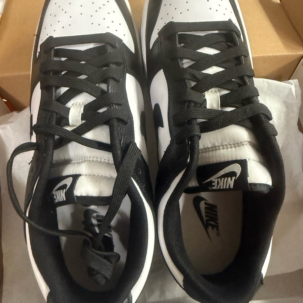 NIB Mens Nike Dunks